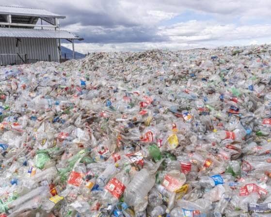 botellas de plástico reciclados